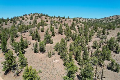 dji_fly_20250618_133104_560_175027945072