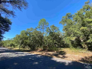 0000 Terra Sombra Ct, Milton, FL 32583 - photo 5