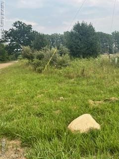 00 Stow Rd, Conway Township, MI 48892 - photo 2