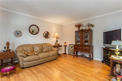 291 Chestnut Ct, Avon Lake, OH 44012 - photo 4