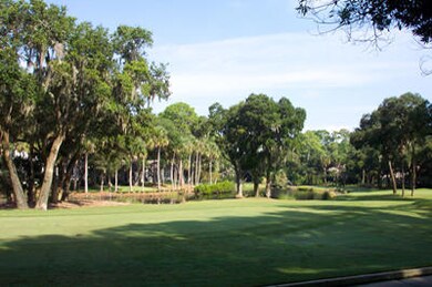 2591HighHammock_View