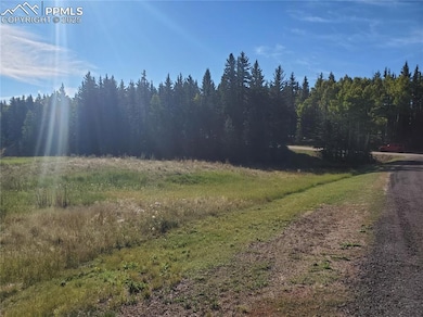 309 Pinaceae Heights, Divide, CO 80814 - photo 4