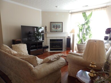 Living room & fireplace