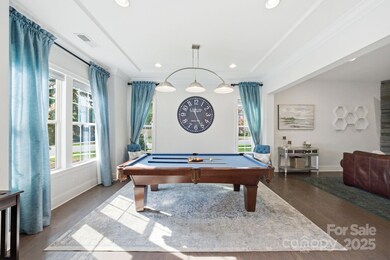 301 Pecan Ridge Ct, Weddington, NC 28104 - photo 7