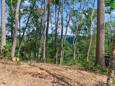 99999 Youngs Gap Rd unit South Lot, Hoopers Creek, NC 28732 - photo 4