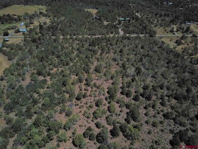 0 Uintah Rd unit 700701, Cedaredge, CO 81413 - photo 3