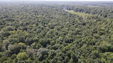 0 Kimball Camp Rd unit 11531903, Orwell, NY 13426 - photo 6