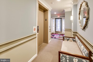 8490 Ice Crystal Dr unit P, Laurel, MD 20723 - photo 4