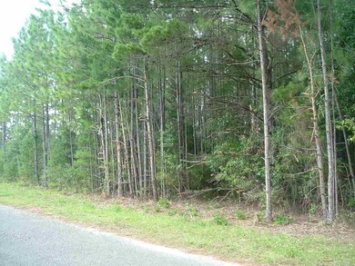 0 Cornfield Way unit 544136, Milton, FL 32583 - photo 2