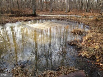 16506 Gaines Rd, Broad Run, VA 20137 - photo 5