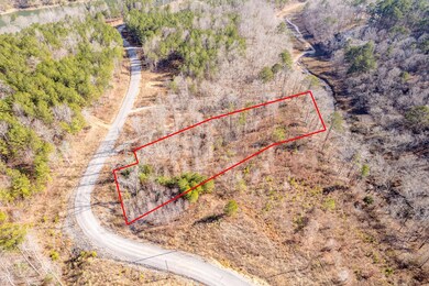 LOT 63 Shoreside at Sipsey, Double Springs, AL 35553 - photo 6