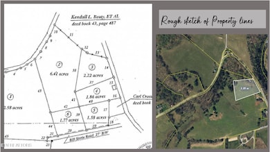 aerial survey