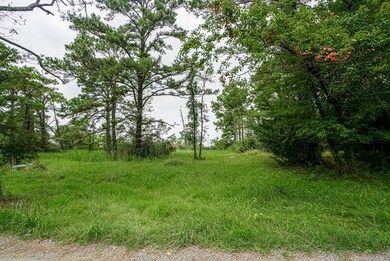 12 Wildcat Ln unit 12, Chincoteague, VA 23336 - photo 7