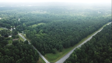 3490 Tidwell Rd, Lizella, GA 31052 - photo 4