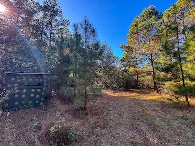 Rosenwall Rd, Huntsville, TX 77320 - photo 6