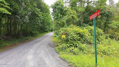 2.07 Acres On Doll Rd, Stroudsburg, PA 18360 - photo 2