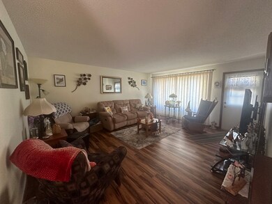 309 S Grape St, Morrison, IL 61270 - photo 7