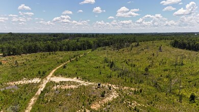 DJI_20250620132307_0086_D