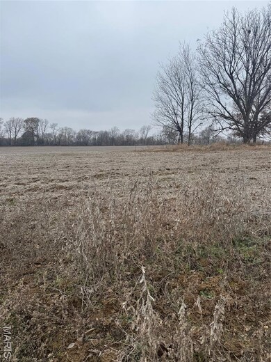 00 County Road 659, Dexter, MO 63841 - photo 2