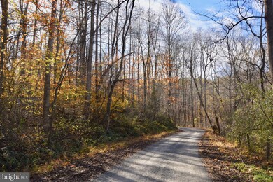 0 Bessie Bell Mountain Rd unit VARP107660, Castleton, VA 22716 - photo 2