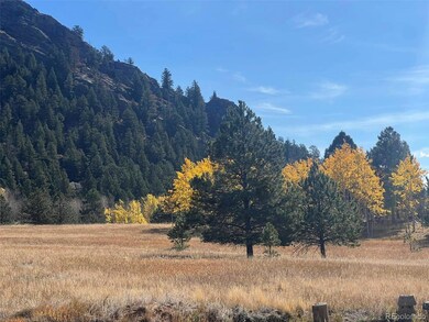 1965 Vagabond Creek Dr unit 9, Lake George, CO 80827 - photo 5