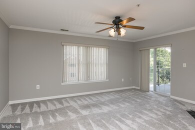 6502 Ridenour Way E unit 3A, Sykesville, MD 21784 - photo 4