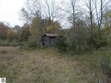 6695 Whittemore Rd, Whittemore, MI 48770 - photo 6