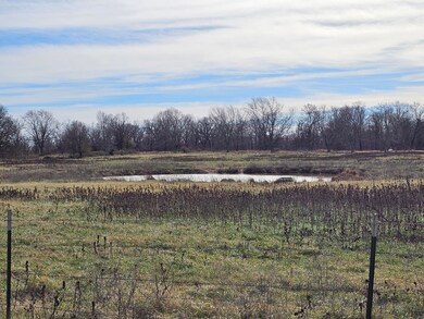 000-11 Ac Hobbs Rd, Anderson, MO 64831 - photo 4
