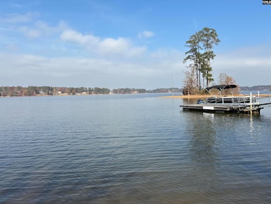 266 Saluda Waters Point, Batesburg-Leesville, SC 29070 - photo 5