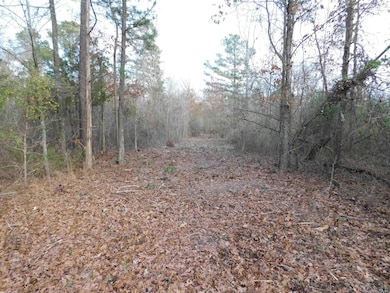 View of nature