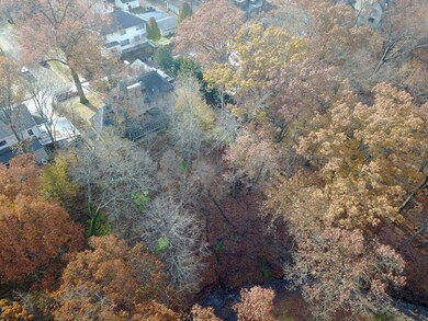 BackYard2