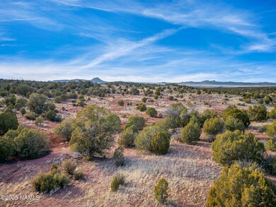 0 W Ricardas Way unit 153 196940, Ash Fork, AZ 86320 - photo 5