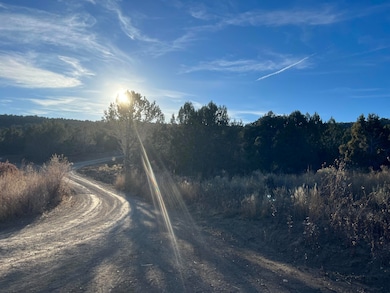 Cow Path Road