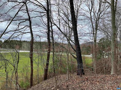 TBD Patrick Henry Hwy, Roseland, VA 22967 - photo 2