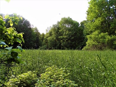 11.3 Acres on Walrath Rd, Lawrence, WI 54526 - photo 7