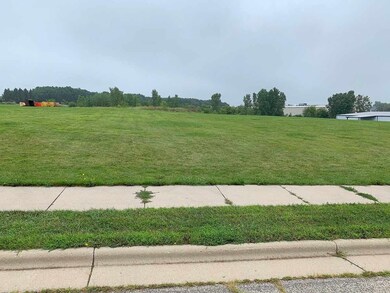 3 Ac W 6th St, Monroe, WI 53566 - photo 3