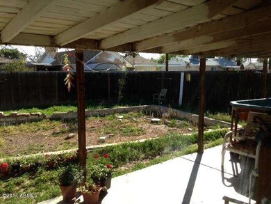 photo 1 (5)