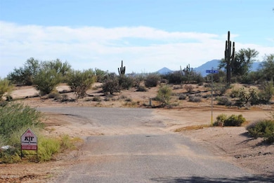 33207 N 142nd Way, Scottsdale, AZ 85262 - photo 4