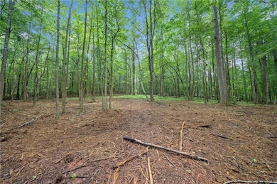 230 Brock Trail, Milton, GA 30004 - photo 3