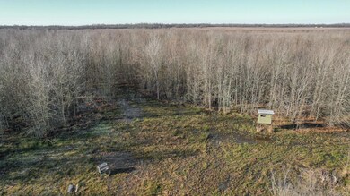 TBD Little River 32, Ashdown, AR 71822 - photo 5