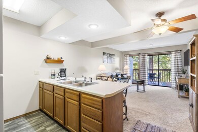 4-web-or-mls-DSC06086