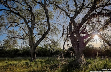 000 County Line Rd # 120, Beeville, TX 78102 - photo 6