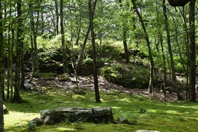 124 Concours Ln, Hawley, PA 18428 - photo 2