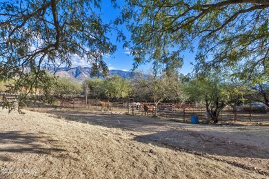 _MG_0162-HDR