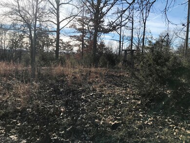 Tbd Farm Road 2090, Jenkins Township, MO 65605 - photo 4