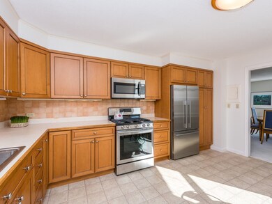 Imperial Towers unit 614, Chestnut Hill, MA 02467 - photo 6