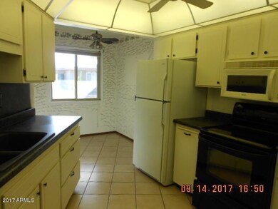 13838 N 111th Ave unit 17H, Sun City, AZ 85351 - photo 2