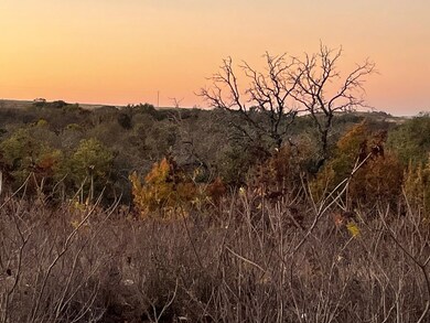 TBD Tract 28 Indian Springs, Indian Gap, TX 76531 - photo 4
