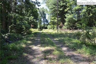 TBD Us Hwy 18 N, Ennice, NC 28623 - photo 2