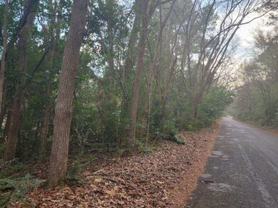 0 S Vine unit 29342199, Tyler, TX 75701 - photo 5